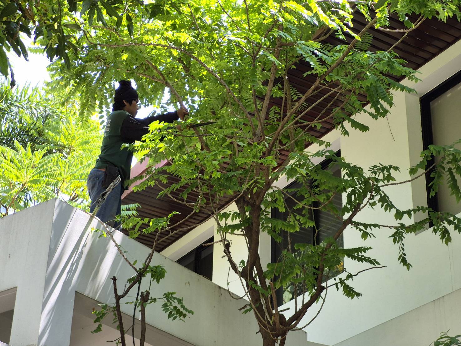 ผลงาน GS Service
